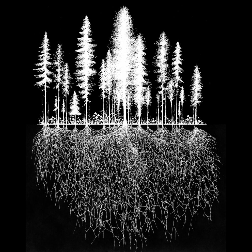 A black square with drawings of trees both above and below ground in white.